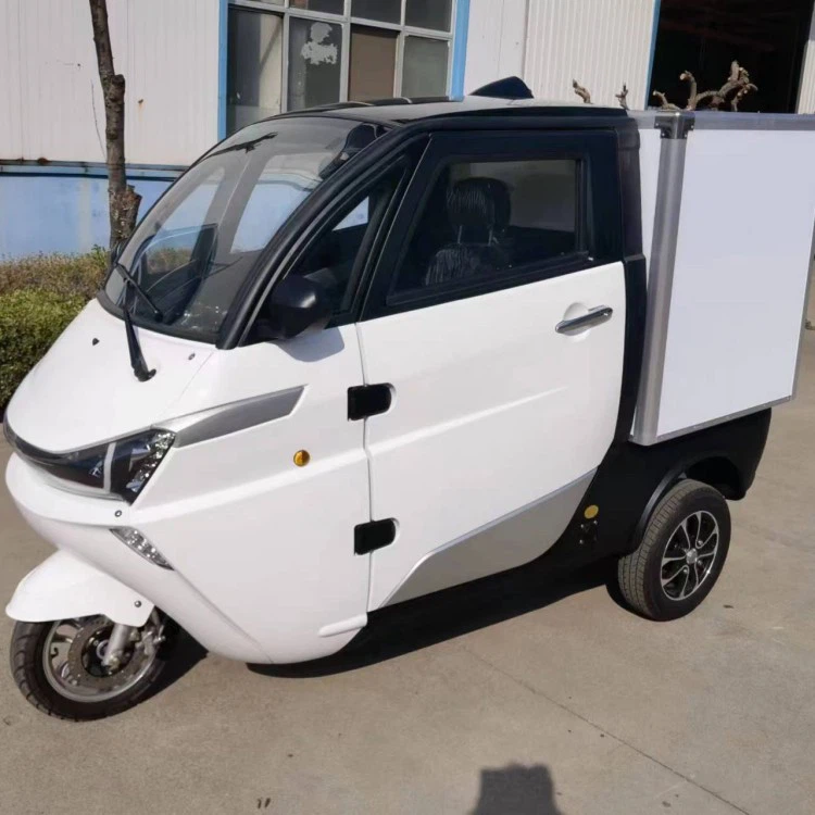 Cargo Electric Tricycle Delivery