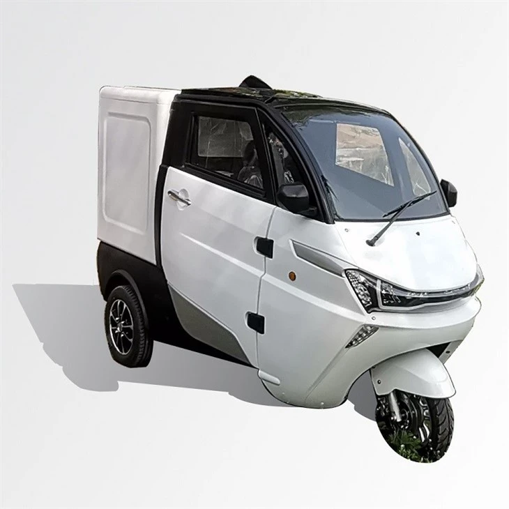 Chinese Low Speed Adult Three Wheel Cargo Electric Tricycle