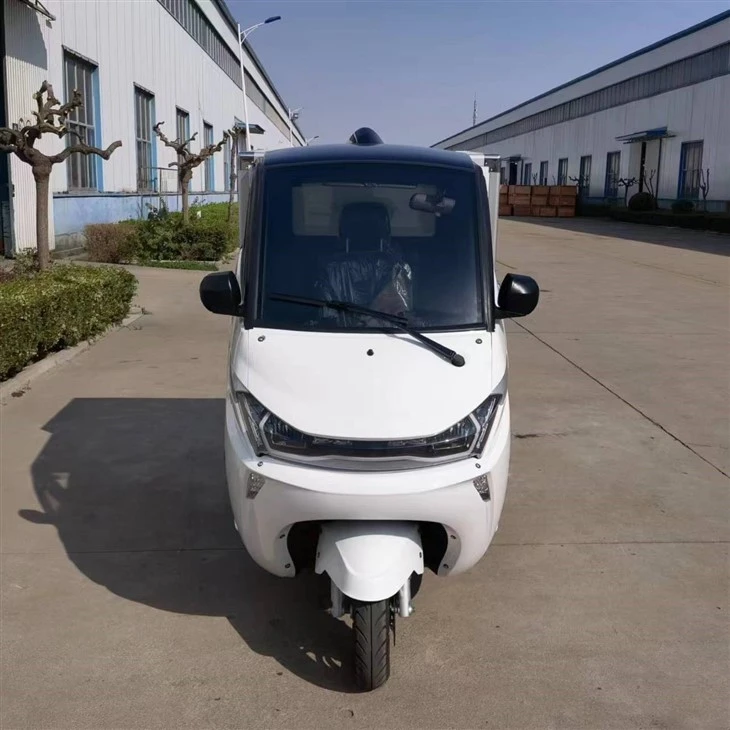 Runhorse Electric Delivery Tricycle J1-C