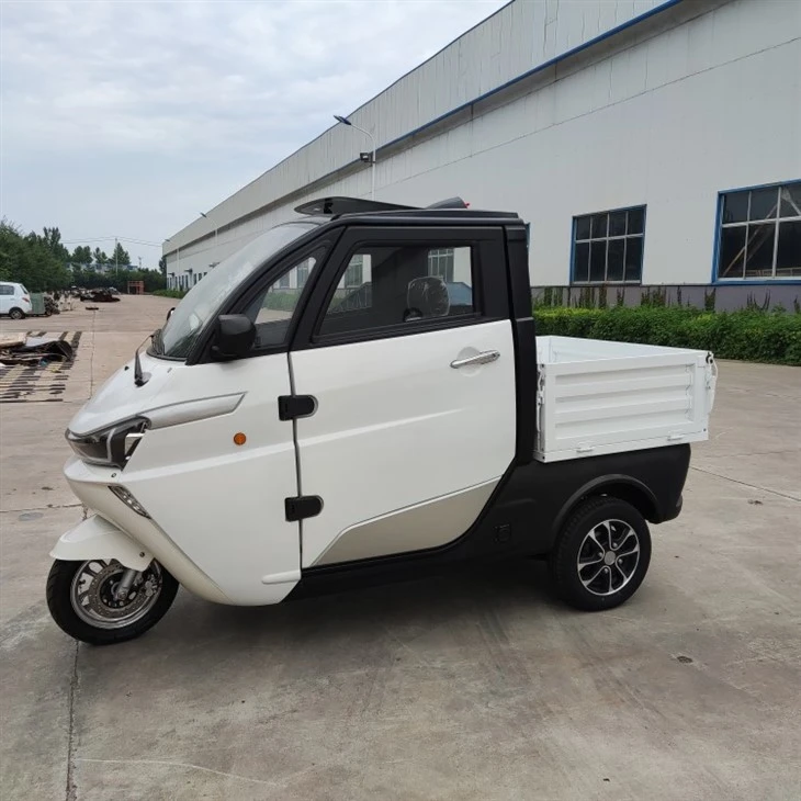 Runhorse Vettura tal-Loġistika Elettrika Mini Car J2C b'veloċità baxxa